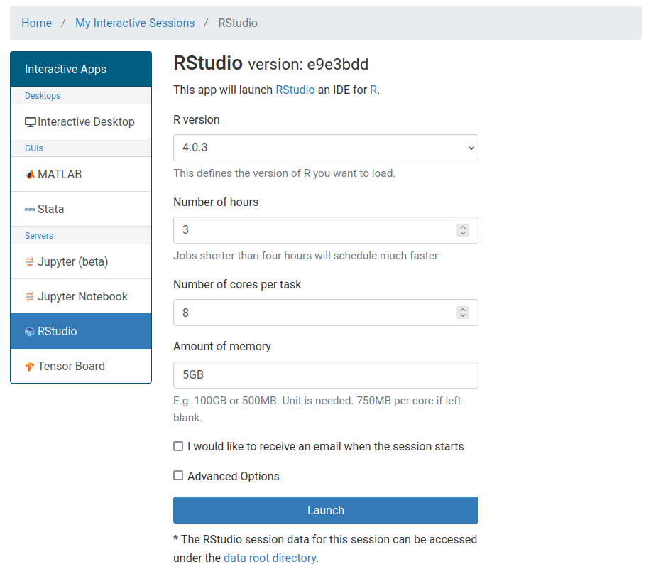 The RStudio OnDemand setup screen with text boxes for the four options listed above filled in using the values specified.