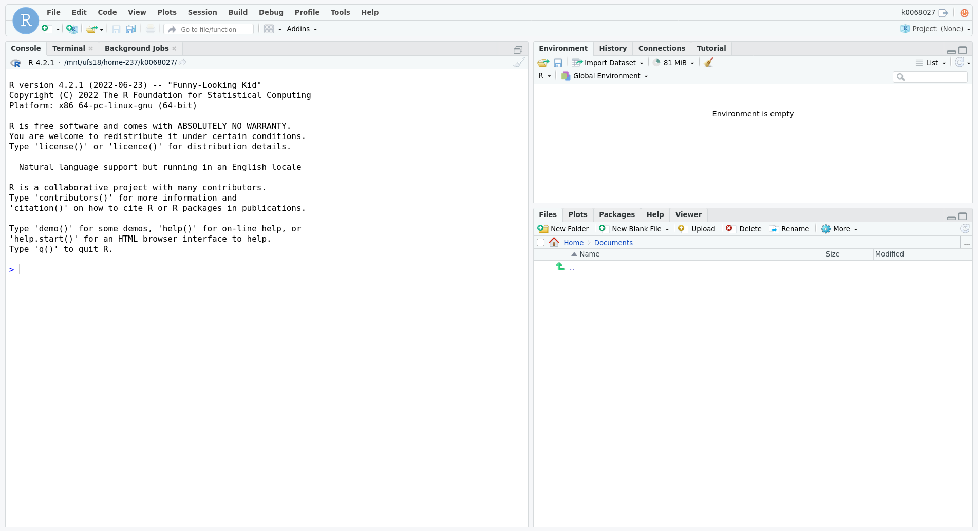 An RStudio Server session. An R console takes up the left half of RStudio, and the right half is split between an environment section on top and a file browser on bottom.