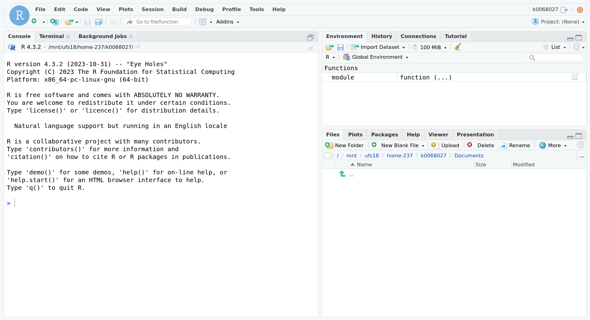 An RStudio Server session. An R console takes up the left half of RStudio, and the right half is split between an environment section on top and a file browser on bottom.