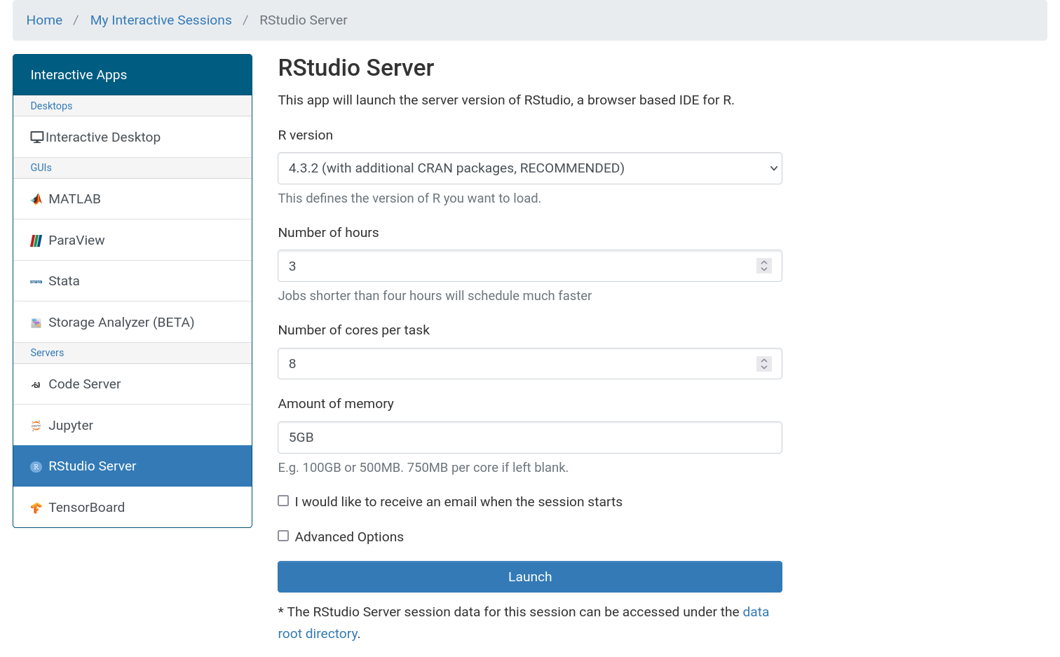 The RStudio OnDemand setup screen with text boxes for the four options listed above filled in using the values specified.