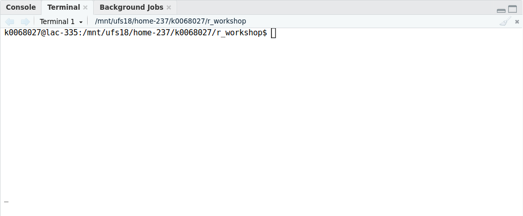 The terminal tab in RStudio showing a terminal connected to the host css-106