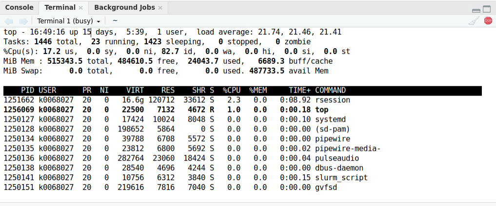 The top command running through the RStudio terminal. In addition to some auxiliary processes, one row in the top output has 'rstudio' in the COMMAND column.